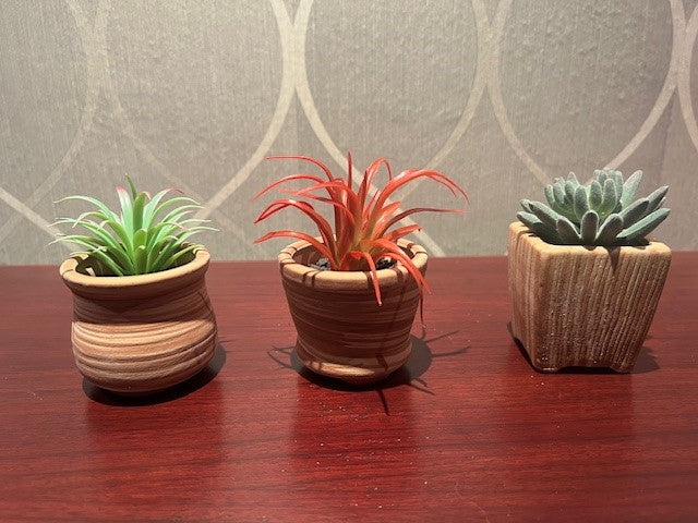 Set of 3 Ceramic Succulant Pots